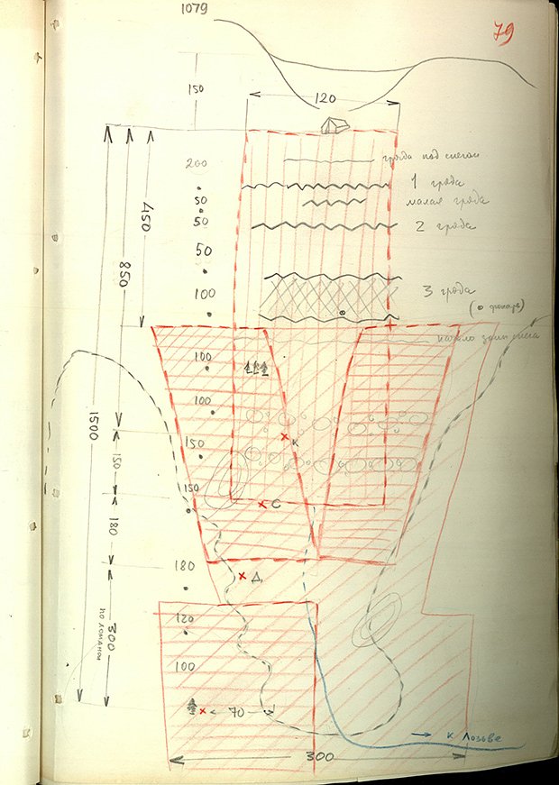 Схема организации поисков группы Дятлова в феврале 1959 года