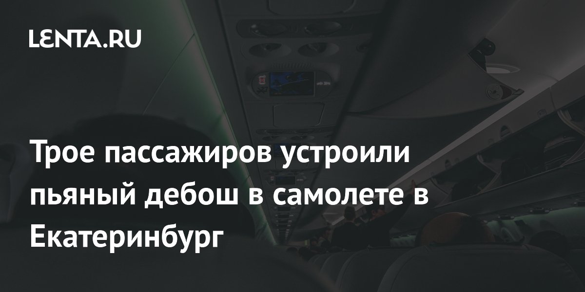 Three passengers staged a drunken brawl on a plane to Yekaterinburg ...