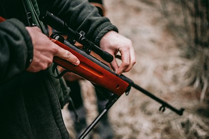 В российском регионе охотник перепутал наркомана с лосем и выстрелил в него