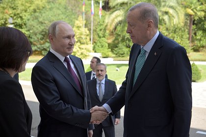 В Турции назвали темы переговоров Путина с Эрдоганом
