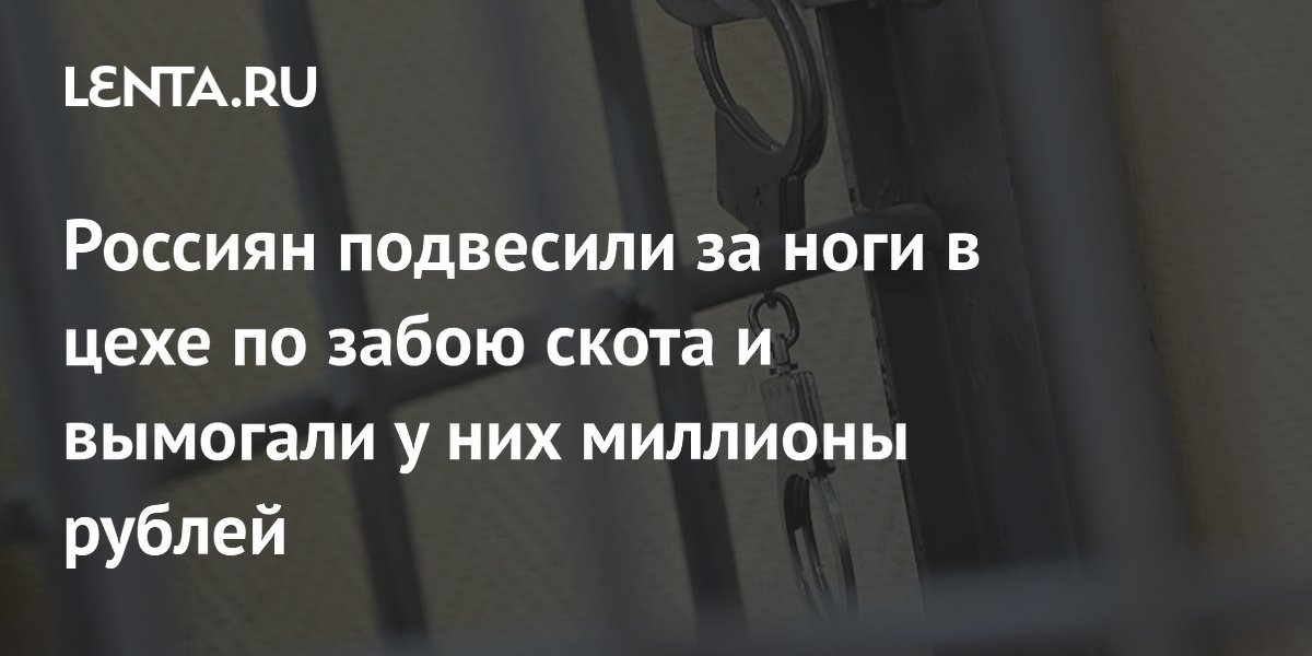 Россиян подвесили за ноги в цехе по забою скота и вымогали у них ...