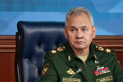 Шойгу обсудил безопасность приграничного региона России с его главой