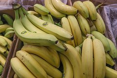 Эквадор готов снять все вопросы по поставкам бананов в Россию. Почему Москва ограничила ввоз фруктов из этой страны?