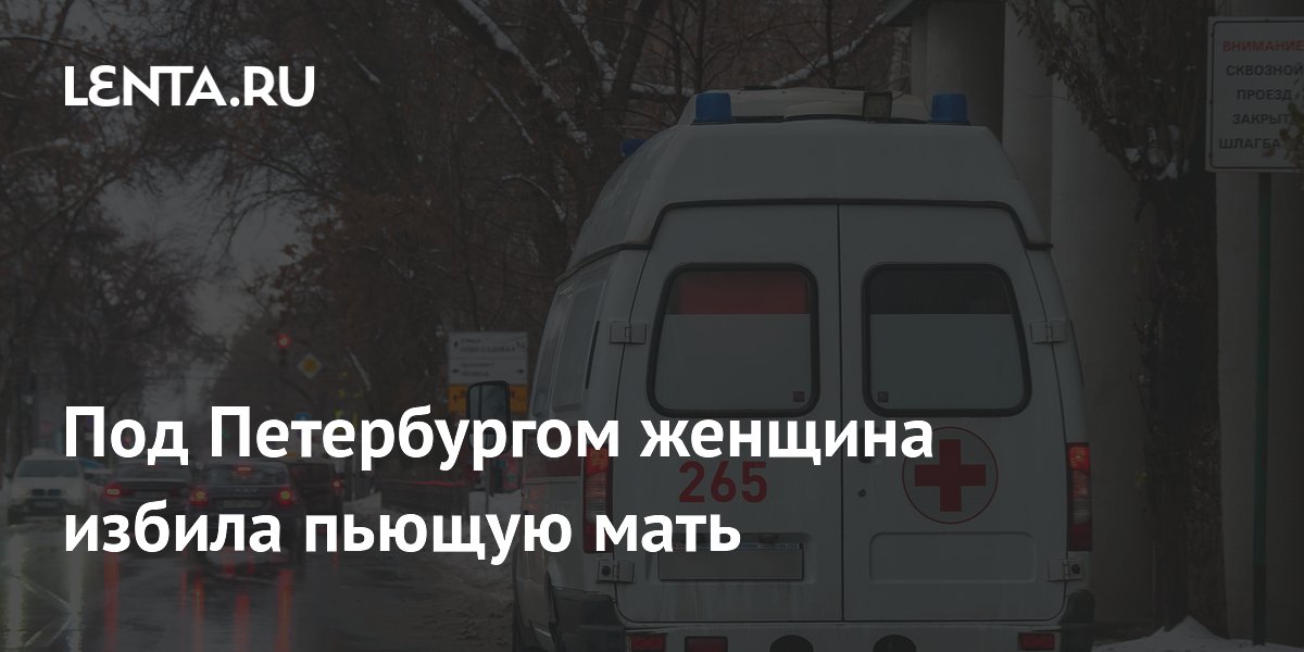 Под Петербургом женщина избила пьющую мать: Общество: Россия: Lenta.ru