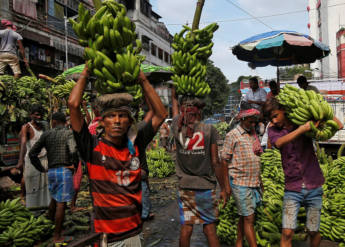 Labourers carry bananas after unloading them from supply trucks at a wholesale fruit market in Kolkata, India