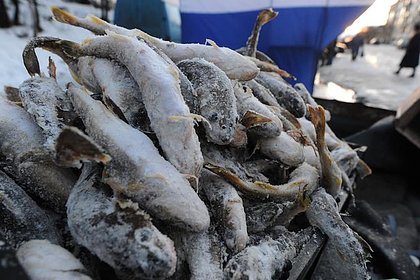 ФСБ пресекла незаконный оборот рыбы на 400 миллионов рублей
