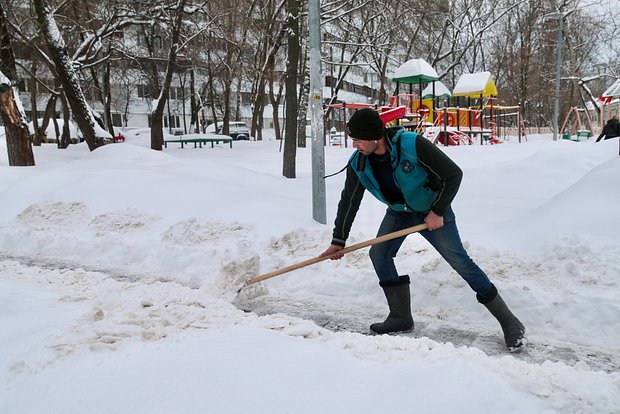 Вводная картинка