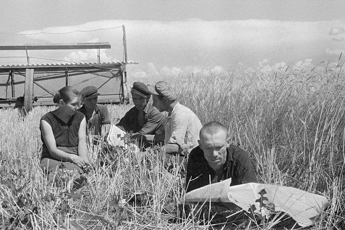 Работники зерносовхоза «Феодосийский» отдыхают в поле. Крым, 1939 год