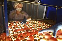 «Меня охватила паника». Россияне сравнили цены на яйца по всему миру и сильно удивились. Что они узнали? 