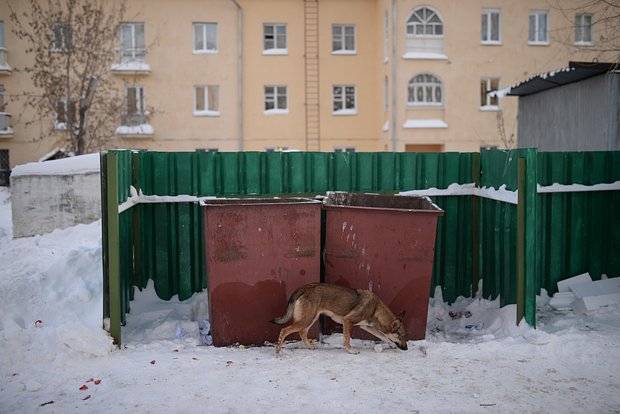 Архивное фото