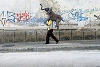 «Наш слон». В сети крутых людей называют слонами. Как возник этот мем и что он означает? 
