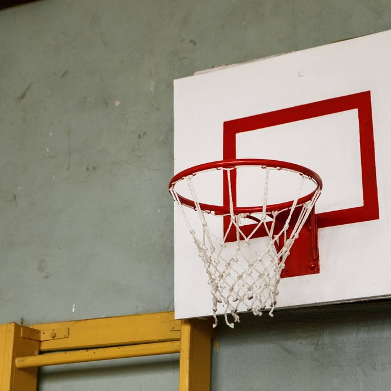 Фото: Vovatol / Shutterstock / Fotodom