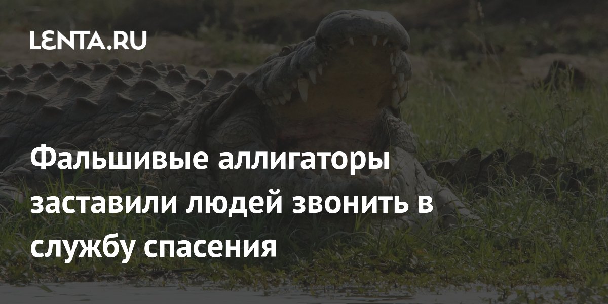 Спасти утвердить