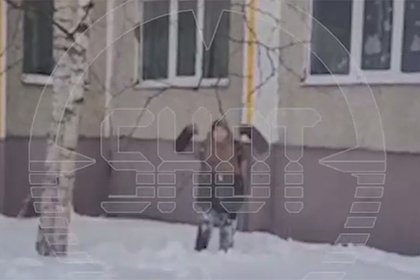 Российский подросток сделал сальто в сугроб с пятого этажа и попал на видео