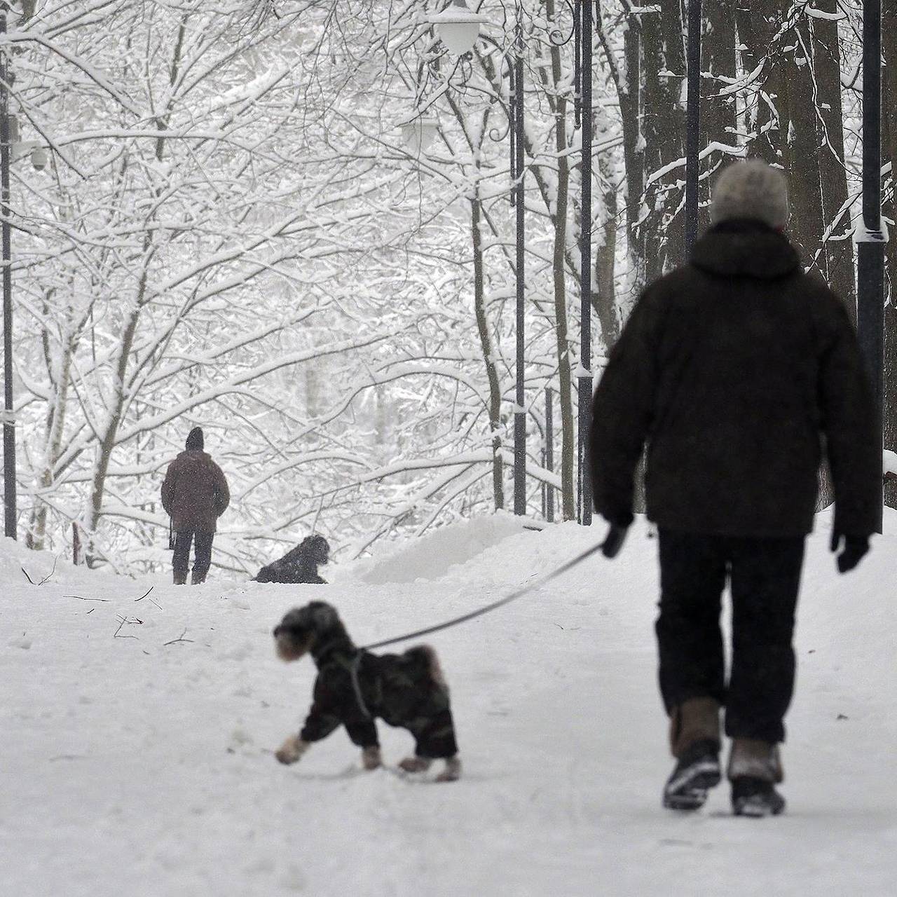Фото: Елена Горбачева / Коммерсантъ