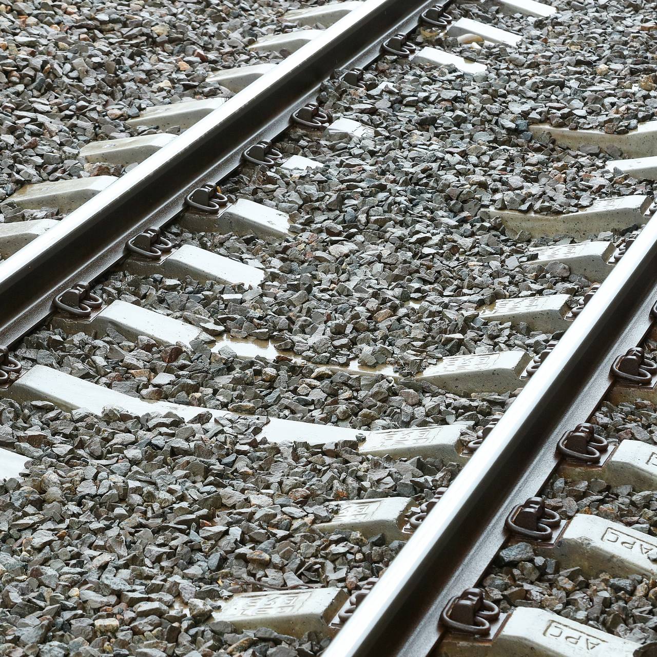 Минтранс пообещал движение поездов по ВСМ каждые 10-15 минут