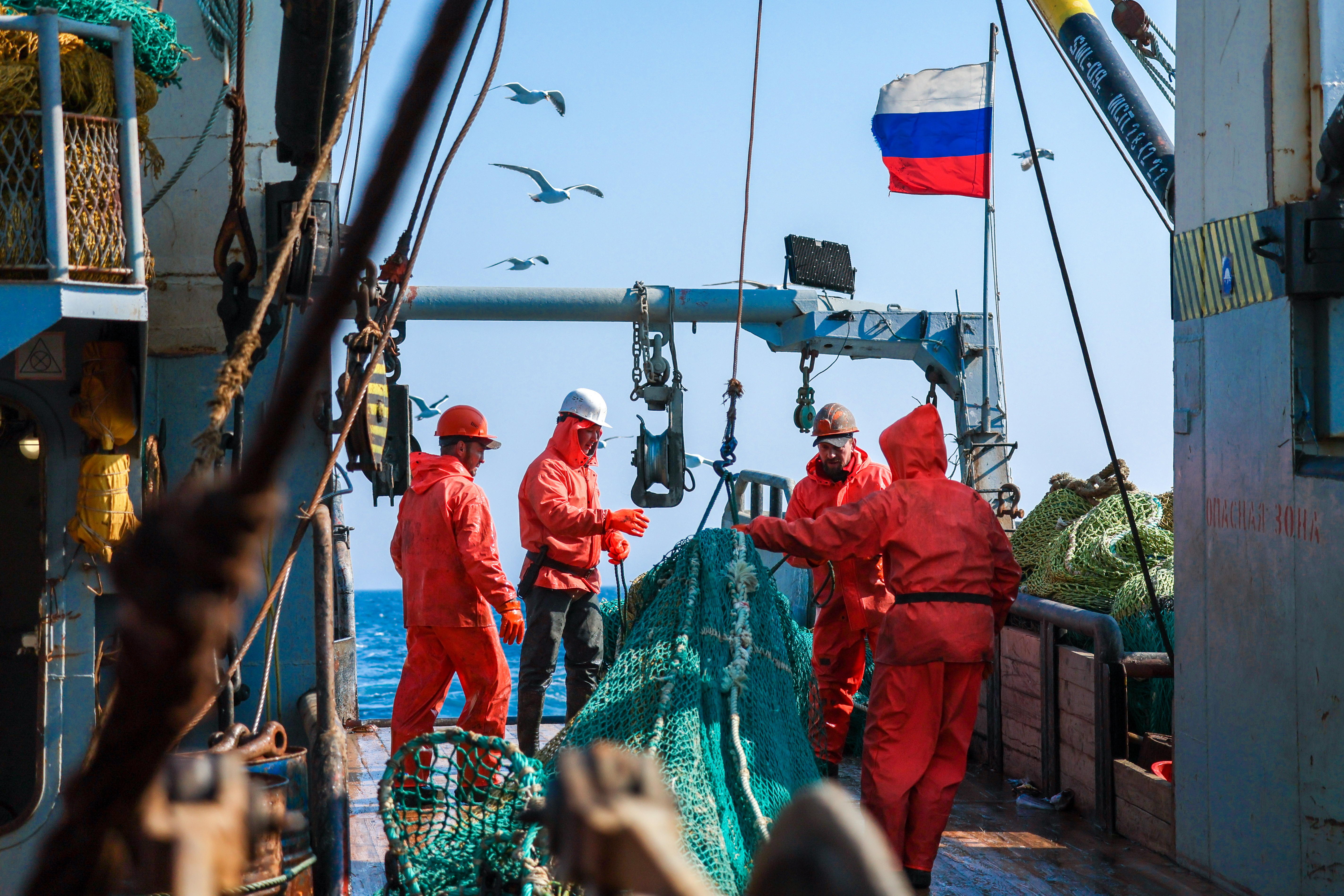 Рыбный день. Кто контролирует рыбный промысел в Северном бассейне?: Бизнес:  Экономика: Lenta.ru