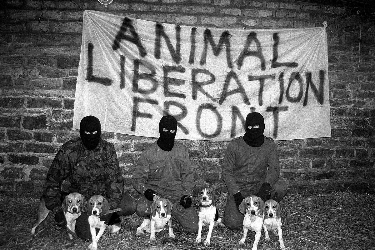 Члены «Фронта освобождения животных», 11 марта 1990 года