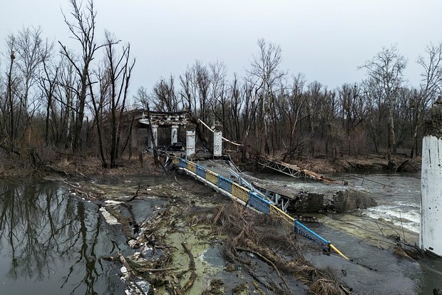 Вводная картинка