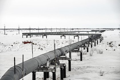 В российском регионе обнаружили большое нефтяное пятно