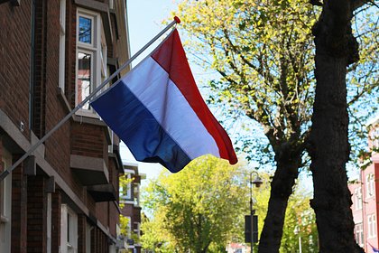 Нидерланды одобрили планы по выборам президента России в Гааге