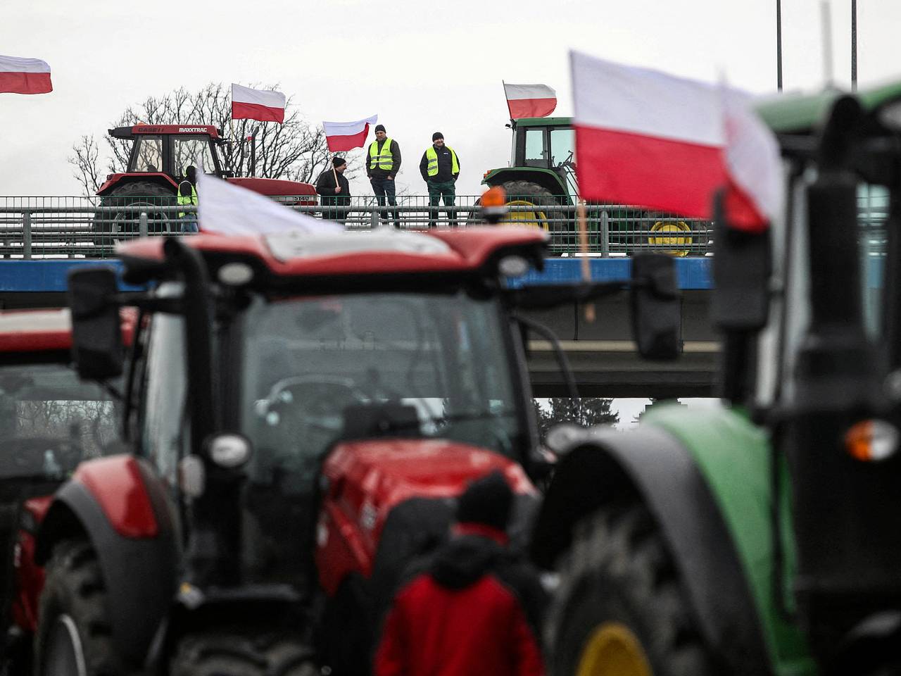 Польские фермеры призвали Путина навести «порядок с Украиной и Брюсселем».  Чем обернется блокада на границе?: Политика: Мир: Lenta.ru