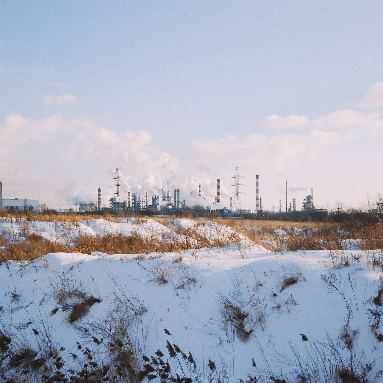 Фото: Мария Григорьева / «Лента.ру»