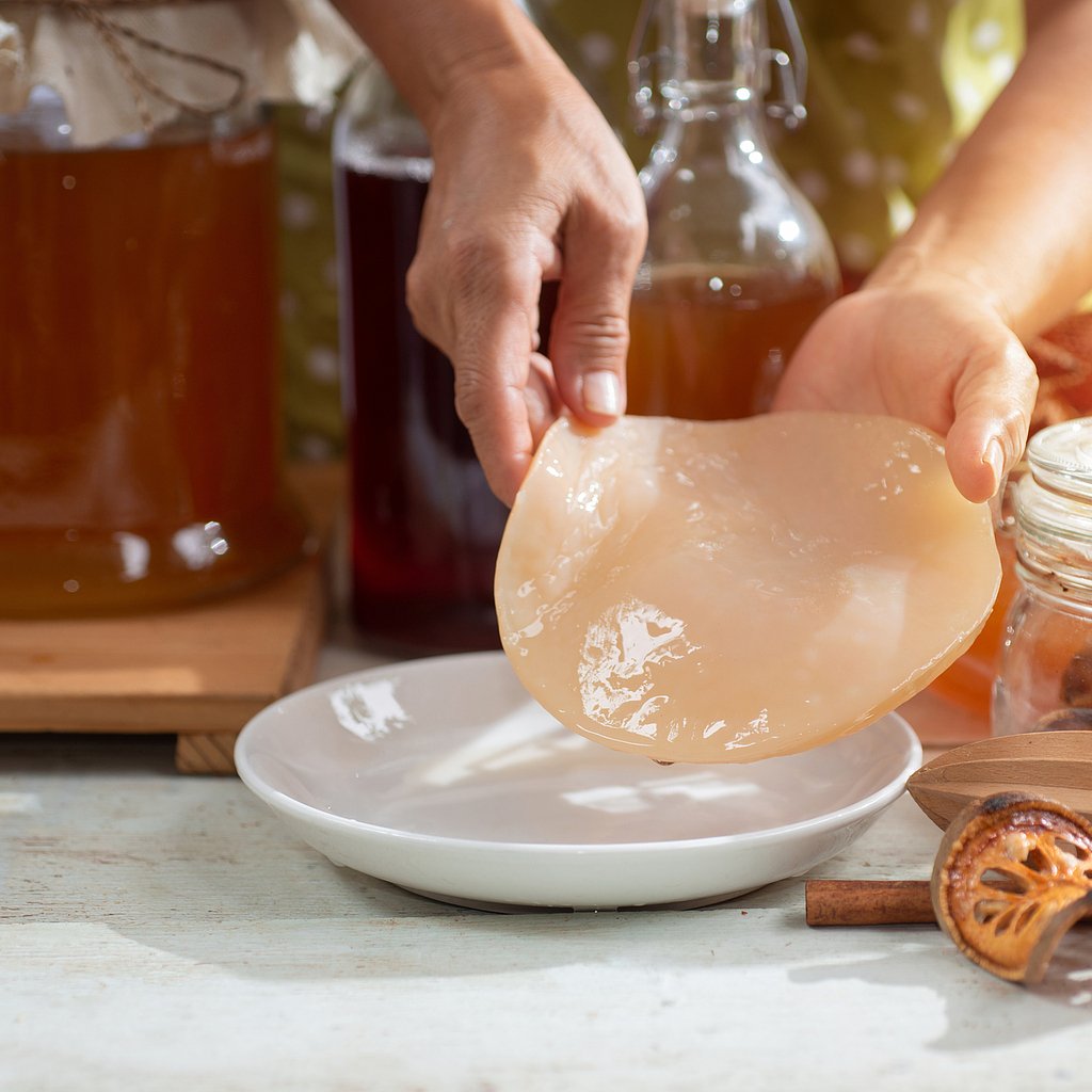 Чайный гриб. Как промывают чайную. Как промывают чайную. Памятка по приготовлению чая. Чайный мастер.