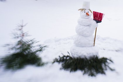 В российском городе пообещали избавиться от рекордных снеговиков