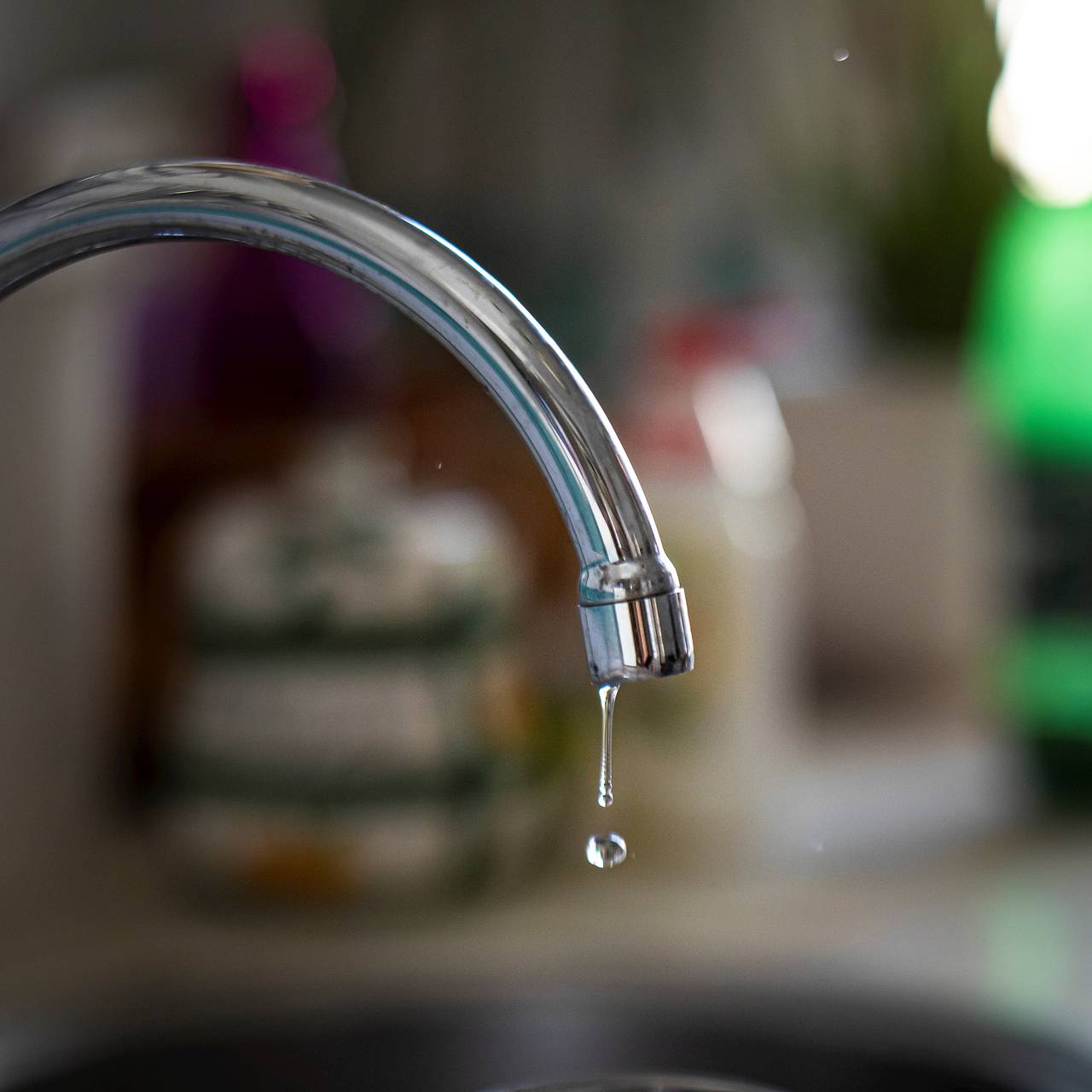 Фото: Mara Josa Lapez / Globallookpress.com