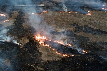 В российском городе загорелись шесть тысяч квадратных метров травы