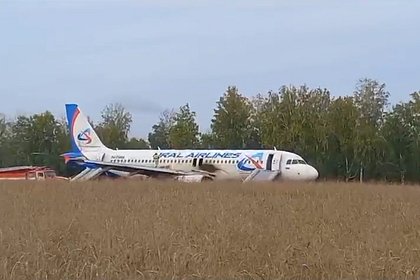 Севший в пшеничном поле под Новосибирском самолет захотели превратить в экспонат
