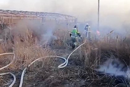 Сотрудники МЧС потушили природный пожар в российском регионе