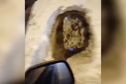 В Подмосковье коммунальщики вырыли туннель в сугробе для пешеходов вместо уборки