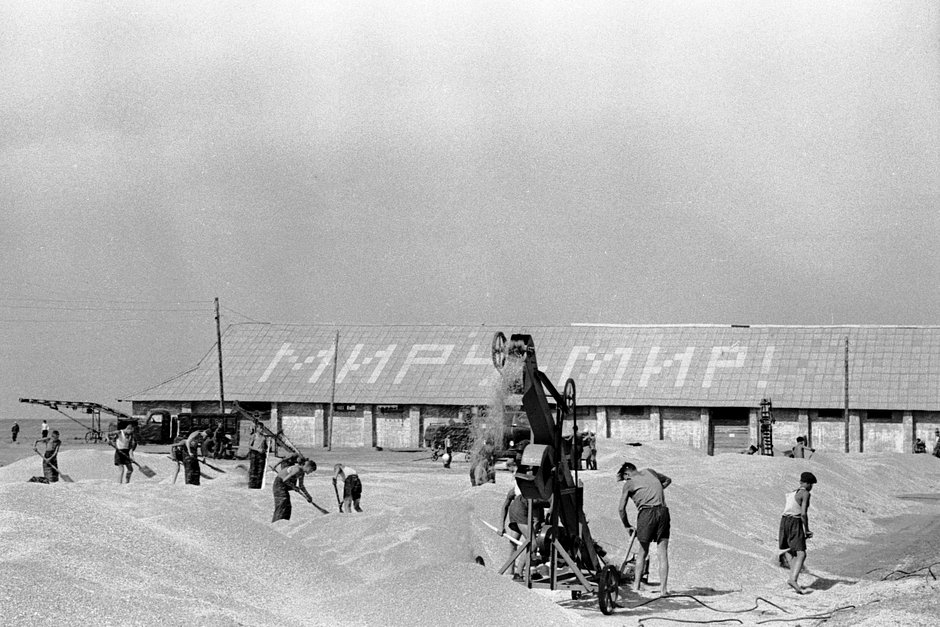 Рабочие совхоза «Озерный» на току. Чкаловская (ныне Оренбургская) область, август 1956 года