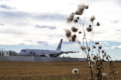 Посадивших самолет в поле пилотов «Уральских авиалиний» отстранили