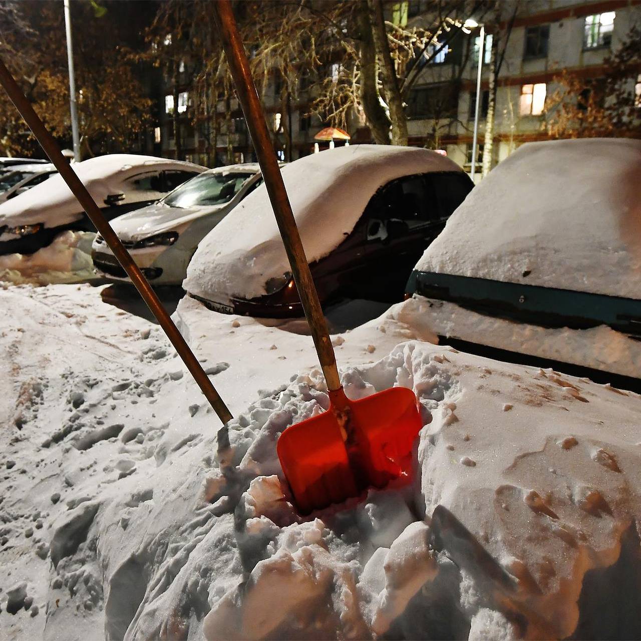 Фото: Иван Водопьянов / Коммерсантъ