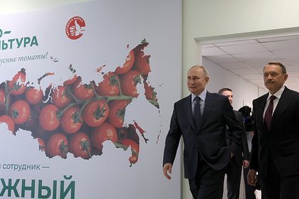 Путин поучаствовал в открытии новых производственных объектов
