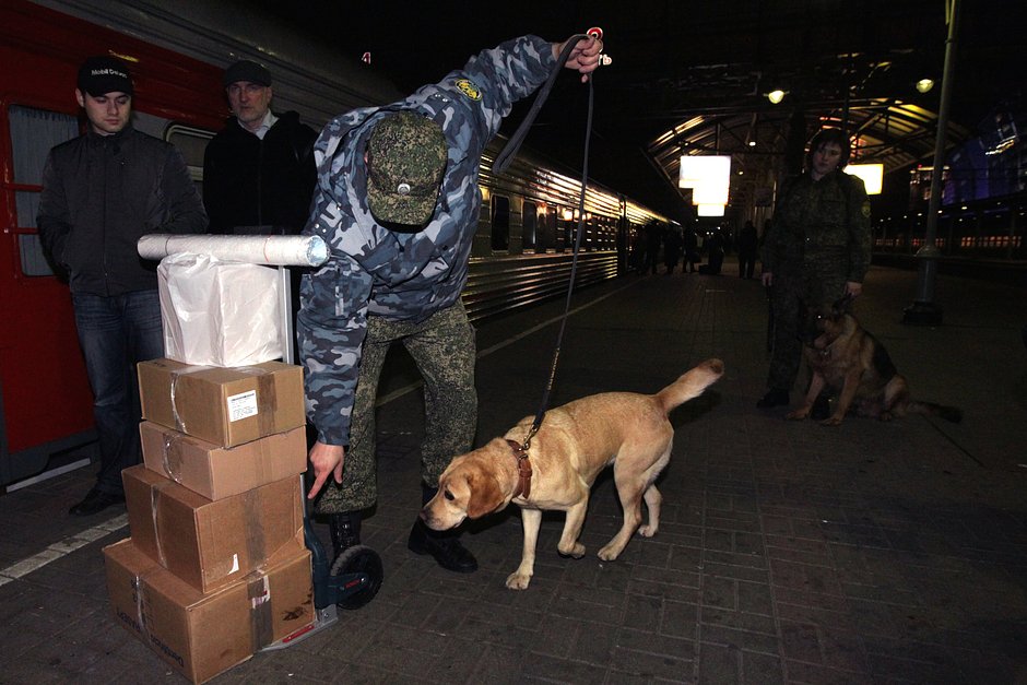 Сотрудник Московского таможенного поста с собакой во время проверки багажа на платформе Киевского вокзала, 13 октября 2011 года