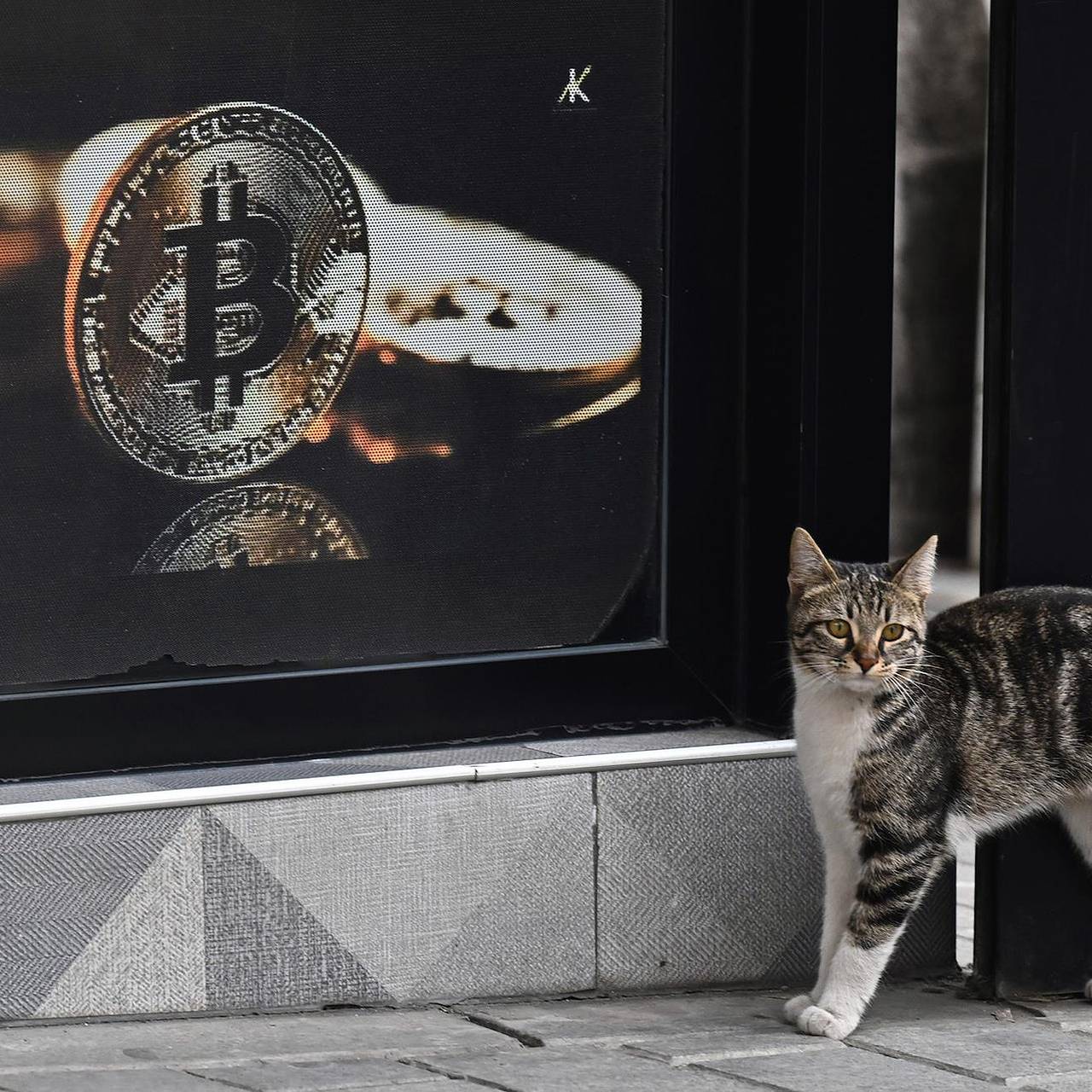 Назван предел роста стоимости биткоина