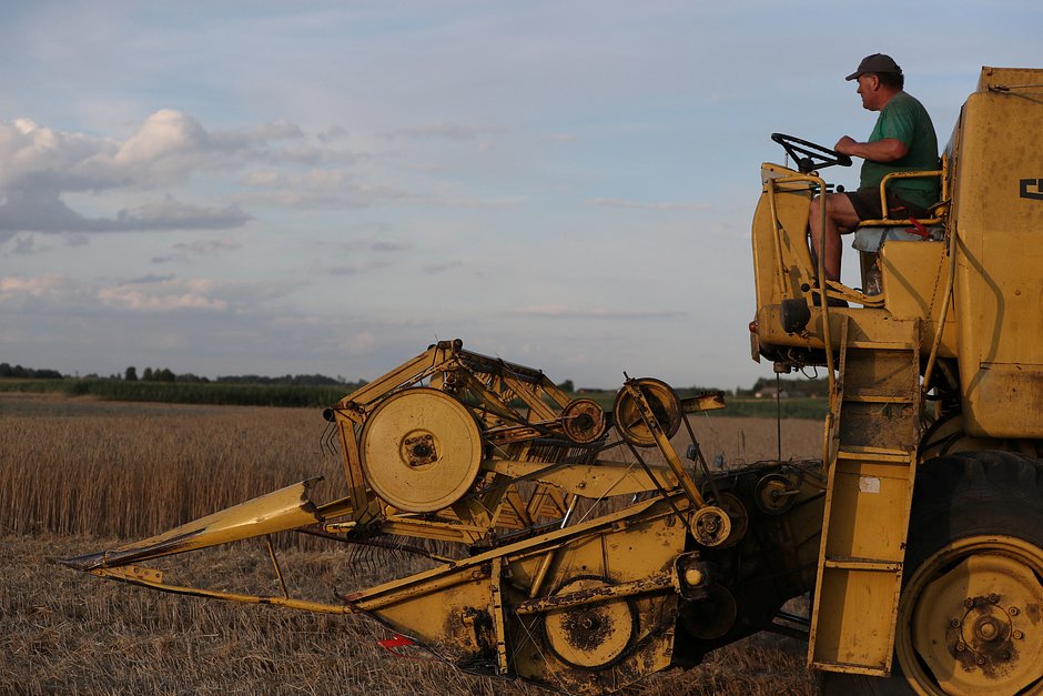 Комбайн убирает зерно в поле недалеко от Целиново, Польша, 28 июля 2022 года