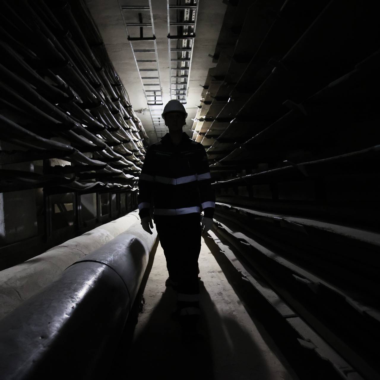 Фото: Виталий Белоусов / РИА Новости