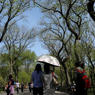 Назван новый способ борьбы с жарой