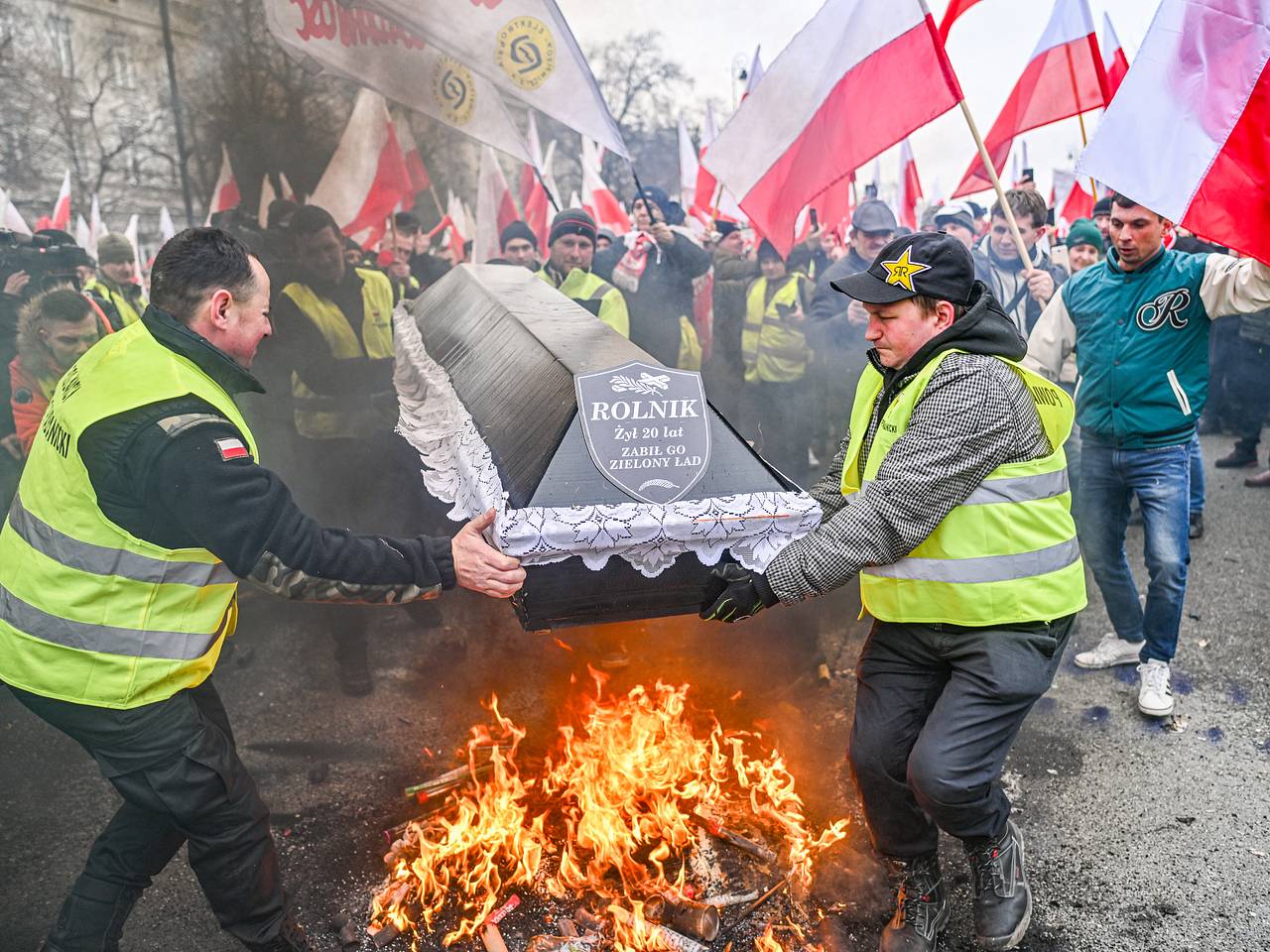 Наши фермеры в отчаянии» Почему Польшу охватили массовые протесты и как они  связаны с боевыми действиями на Украине?: Политика: Мир: Lenta.ru