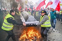 «Наши фермеры в отчаянии» Почему Польшу охватили массовые протесты и как они связаны с боевыми действиями на Украине?