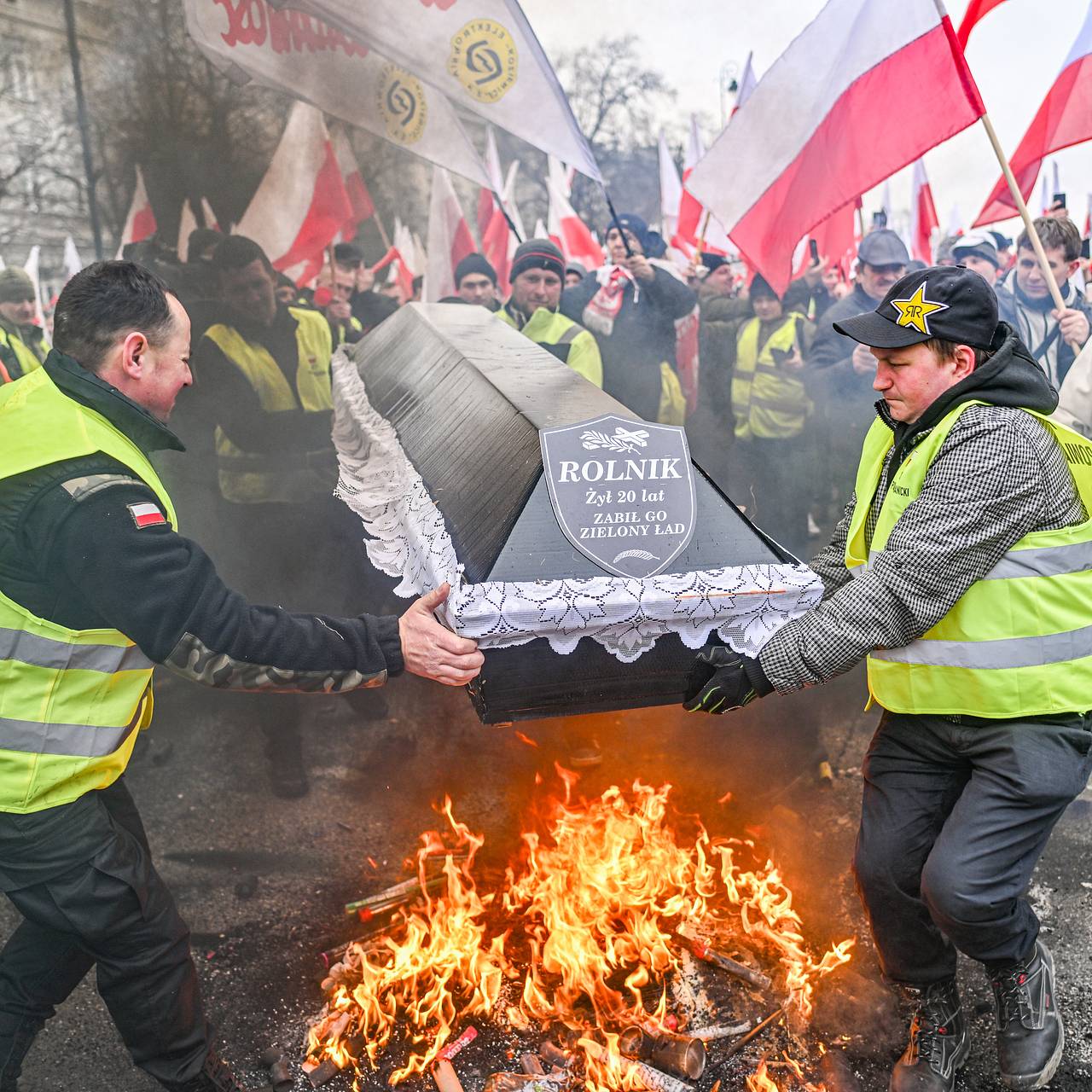 Наши фермеры в отчаянии» Почему Польшу охватили массовые протесты и как они  связаны с боевыми действиями на Украине?: Политика: Мир: Lenta.ru