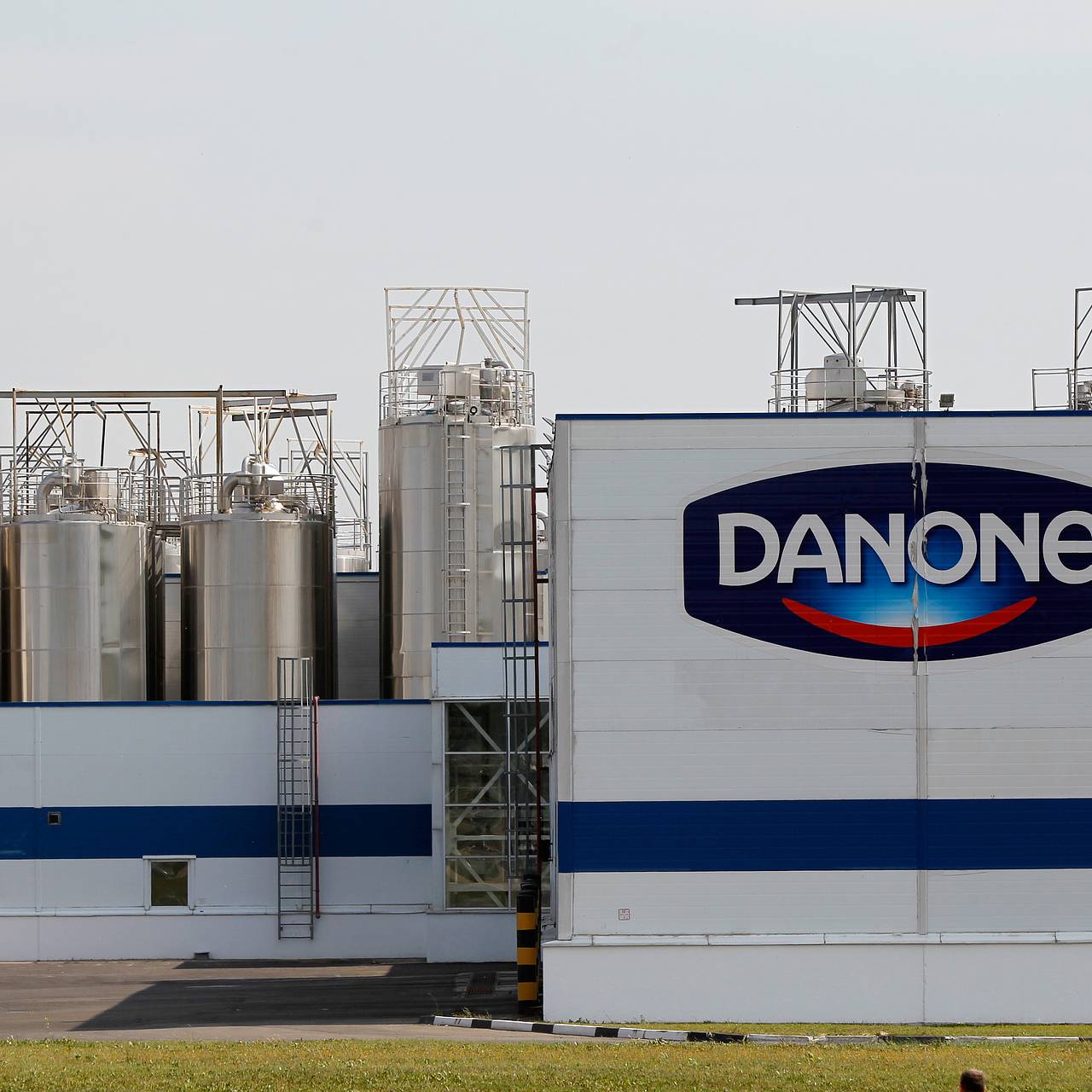 Путин отменил национализацию Danone. Что означает прекращение российского  госуправления над иностранными активами?: Бизнес: Экономика: Lenta.ru