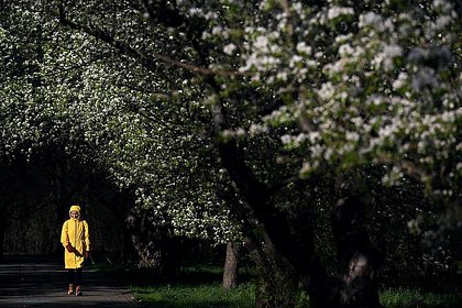 Названы лучшие регионы России для встречи весны