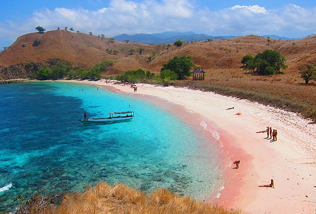 Пляж с розовым песком на острове Комодо