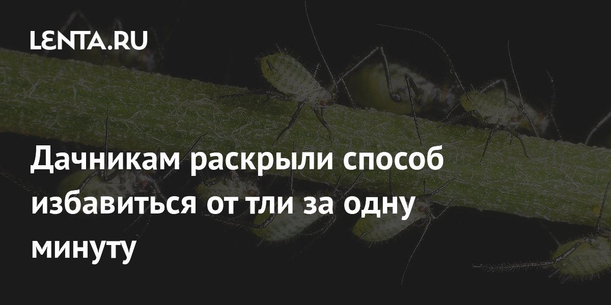 Будда шаолинь. Буддист на природе. Буддистский монах тибет. Город как среда обитания. Будда шаолинь.